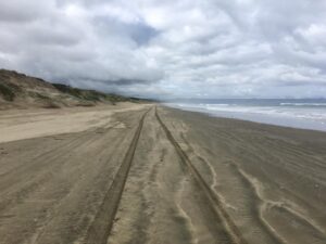 Read more about the article Day 5: Waipapakauri to Ahipara