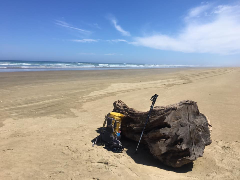 Read more about the article Day 4: Hukatere Lodge to Waipapakauri